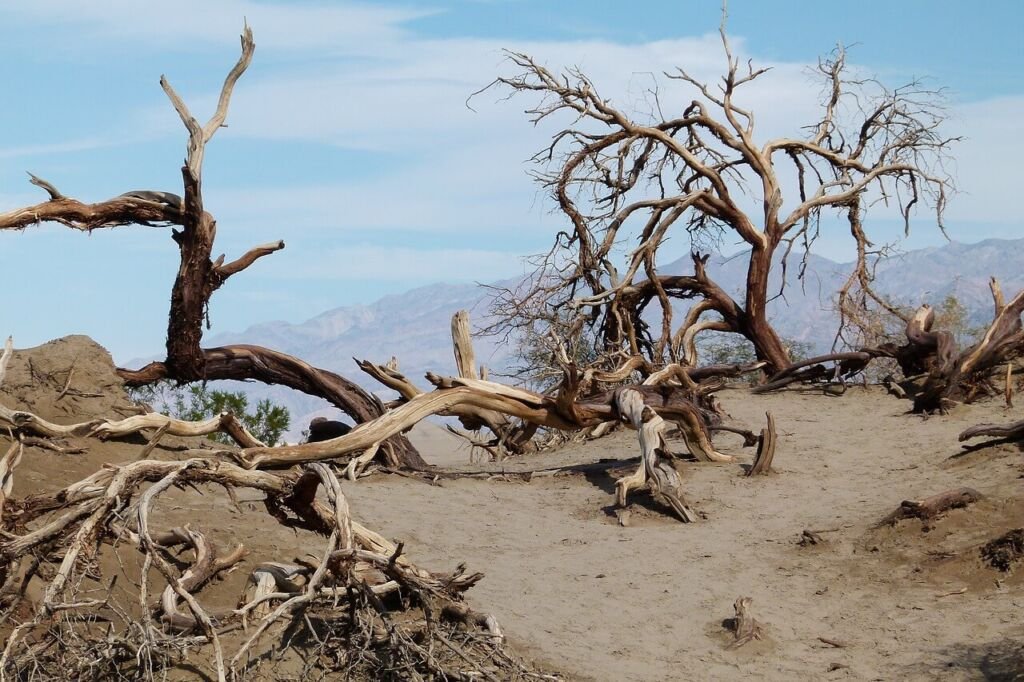 death-valley-89261_1280