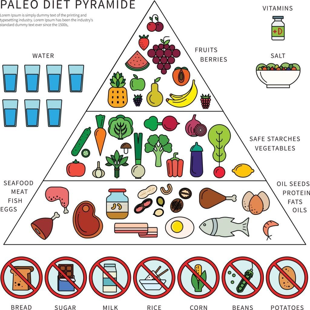 Thin line flat design of the pyramid of paleo diet. Healthy eating consept, icons of products in three levels, fats, oils, seafood, meat, water, vegetables and fruits