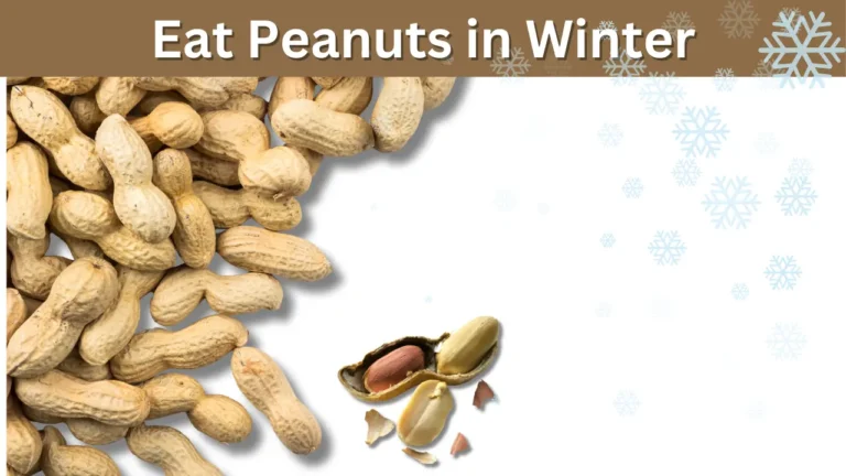 Reasons Why You Should Eat Peanuts in Winter