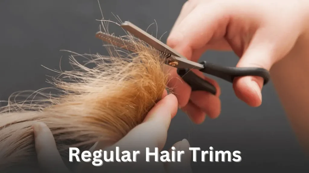 Regular Hair Trims