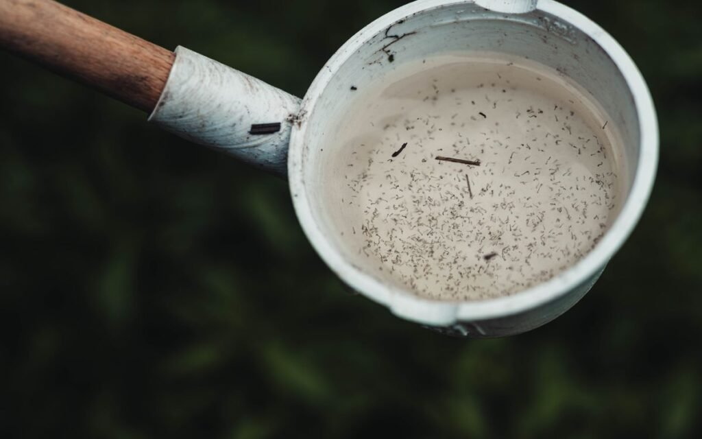 Mosquito larvae wriggling in a scoop of standing water