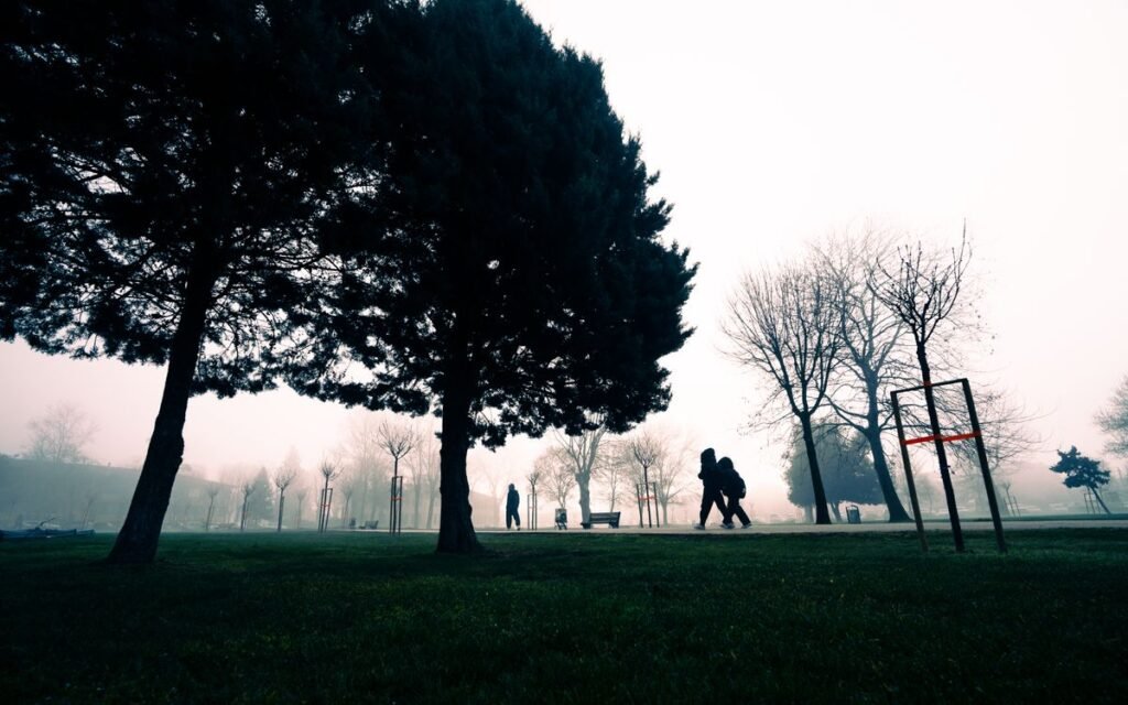 People walking through a misty park with bare trees