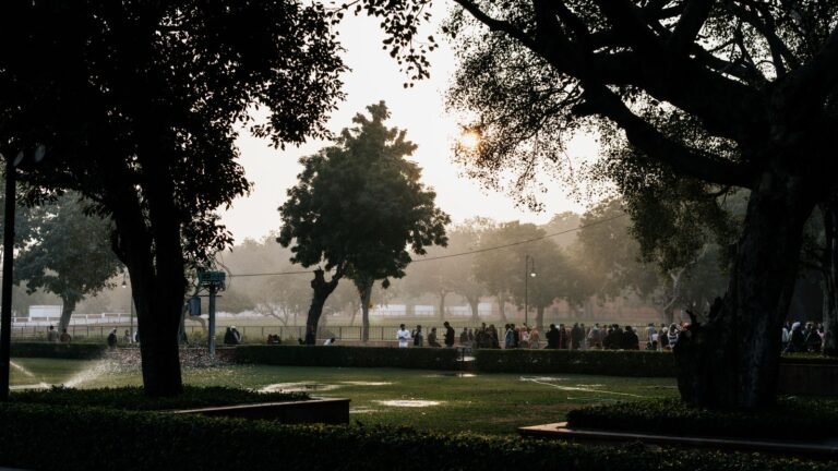 Exercise in Pollution: When Your Morning Walk Stops Helping
