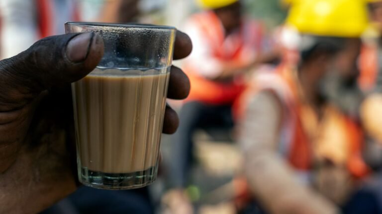 Iron Absorption: The Chai Timing Mistake Most Vegetarians Make