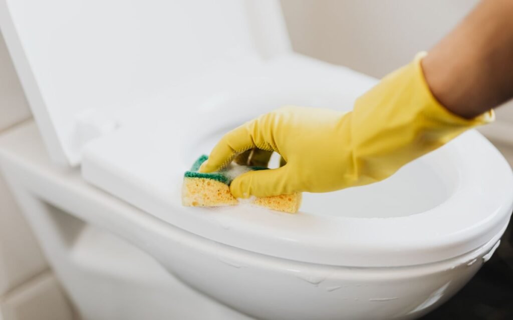 a hand in a rubber glove scrubbing a toilet seat